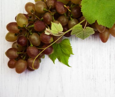 üzüm yaprağı