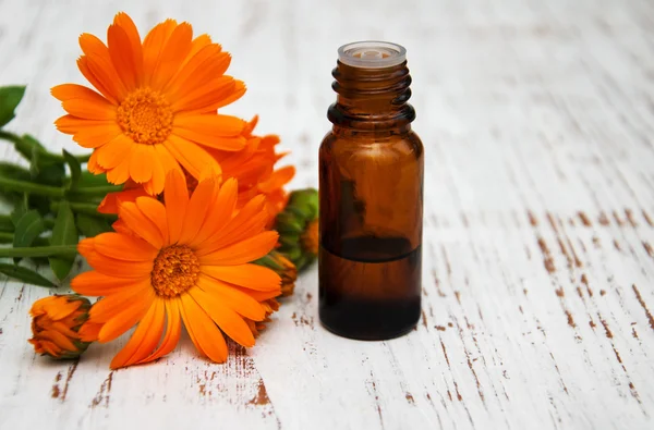Flores de calêndula e óleo de massagem — Fotografia de Stock