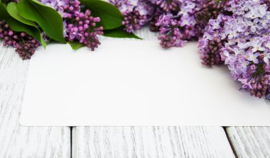 Boş oyun kağıdı ile Lila çiçek