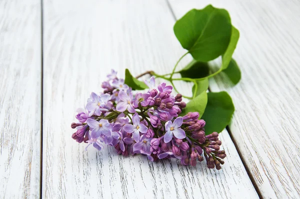 Flores de cor lilás em uma mesa — Fotografia de Stock