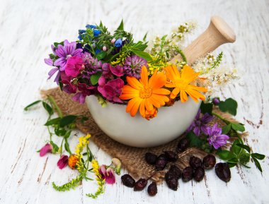 yabani çiçek ve bitki yaprak harç içinde