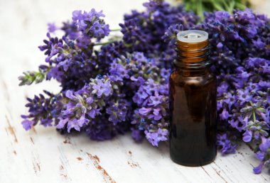 Lavanta ve masaj yağı