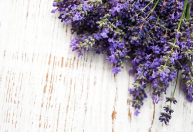 masaya lavanta çiçek