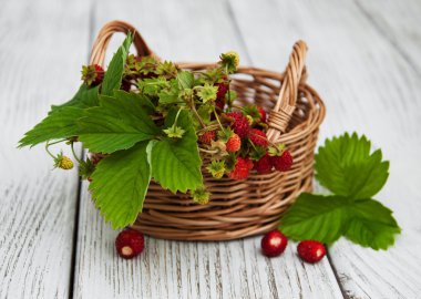 Sepet yaban çileği ile