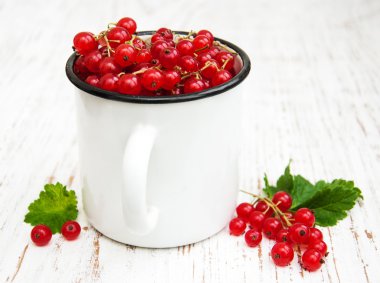 taze kırmızı kuş üzümü