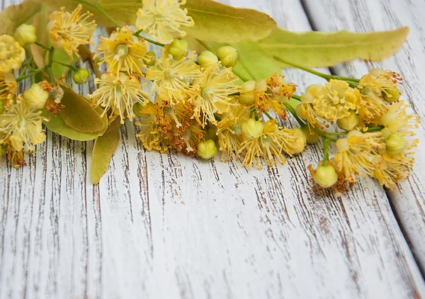 Цветы Линден на столе — стоковое фото