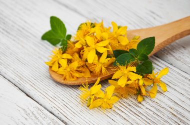 Saint-John's-wort kaşık içinde