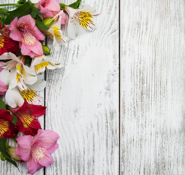 Alstroemeria blomster på et bord – stockfoto