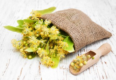 ıhlamur çiçek tuval çanta