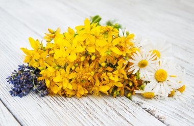 Ahşap arka planda taze bitkiler