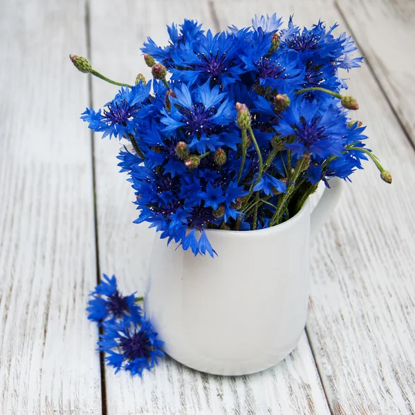 Cornflowers in vase — Stock Photo, Image