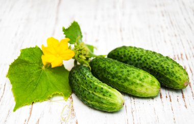 Masada taze salatalık var.