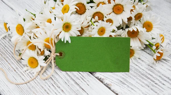 Bouquet of daisies — Stock Photo, Image