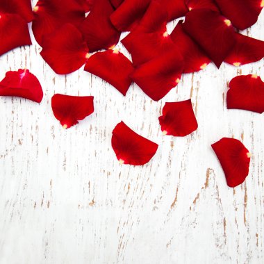 Kirmizi gül yaprakları