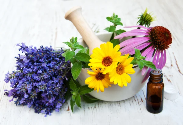 Medizinische Blumen im Mörser — Stockfoto