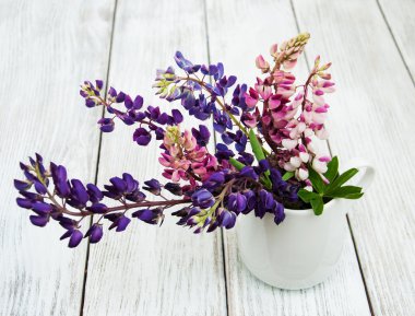 Cam vazo içinde sunulan lupines