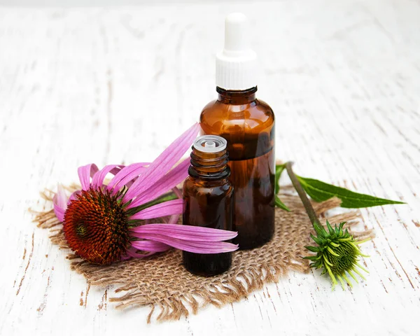 Flasche mit ätherischem Öl mit violettem Echinacea — Stockfoto