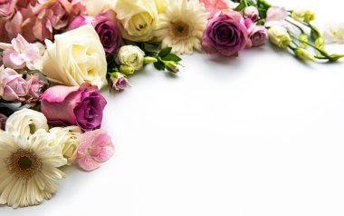 Beyaz arkaplandaki çiçeklerin iskeleti. Düz yatıyordu.