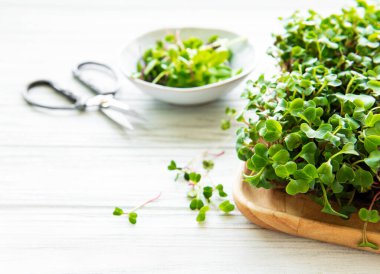 Beyaz ahşap arka planda mikro yeşillikler, kopyalama alanı, üst görünüm. Sağlıklı yaşam tarzı