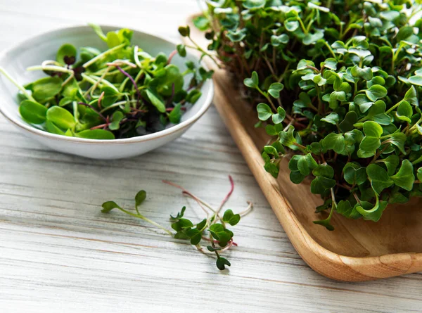 Assortment of micro greens on white wooden  background, copy space, top view.  Healthy lifestyle