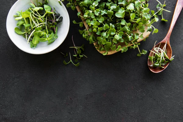 Assortiment Van Micro Greens Zwarte Achtergrond Kopieerruimte Bovenaanzicht Gezonde Levensstijl — Stockfoto