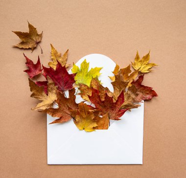 Sonbahar kompozisyonu. Pastel kahverengi arka planda kurumuş yaprakları olan zarf. Sonbahar, sonbahar konsepti. Düz yatış, üst görünüm.