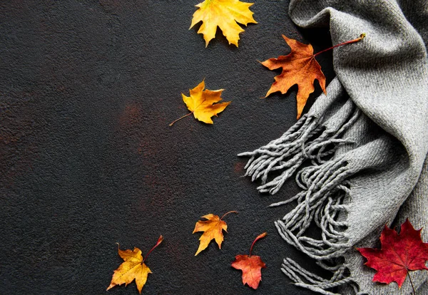 Autumn Maple Leaves Woolen Scarf Black Concrete Background Autumn Background — Stock Photo, Image