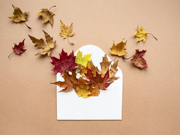秋の構図 パステルブラウンの背景に乾燥した葉で封筒 秋の概念 フラットレイアウト トップビュー — ストック写真