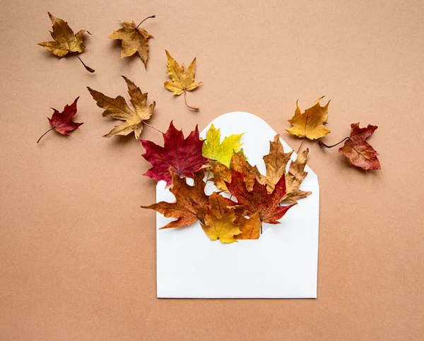 秋の構図 パステルブラウンの背景に乾燥した葉で封筒 秋の概念 フラットレイアウト トップビュー — ストック写真