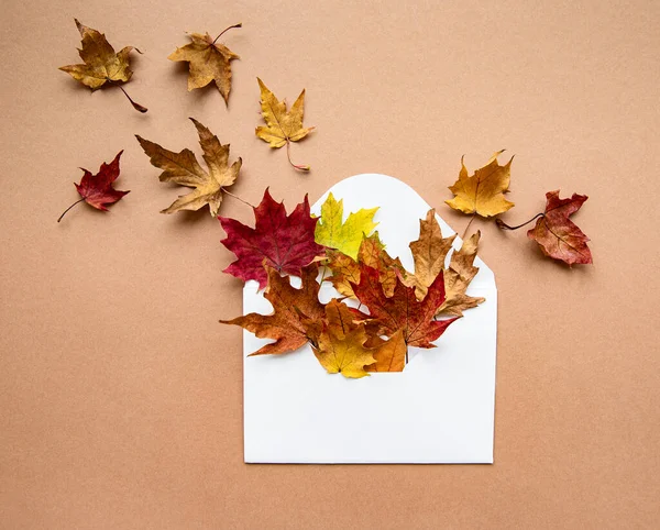 Composición Otoño Sobres Con Hojas Secas Sobre Fondo Marrón Pastel — Foto de Stock