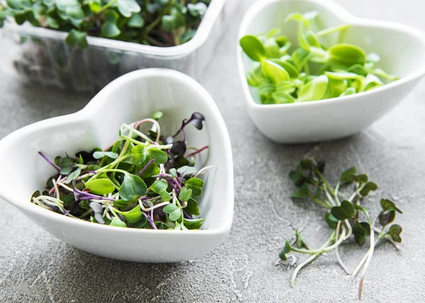 Assortiment Microgreens Betonnen Achtergrond Bovenaanzicht Gezonde Levensstijl — Stockfoto