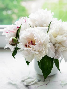 Vazodaki güzel pembe şakayık buketi. Bahar havası, romantik hediye. 