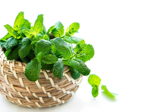 Cesta Menta Fresca Aislado Sobre Fondo Blanco — Foto de Stock