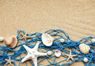 Kumdaki deniz kabukları. Yazın deniz tatili arka planında metin için yer var. Üst görünüm