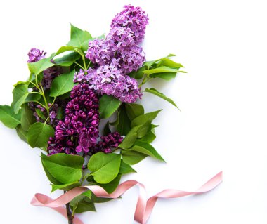 Beyaz arka planda leylak renginde. Güzel bahar. Genel bakış. Düz yatıyordu, üstte. Yaz sezonu. Doğal bahar stili..