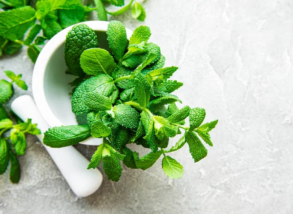 Gri beton arka planda taze yeşil nane.