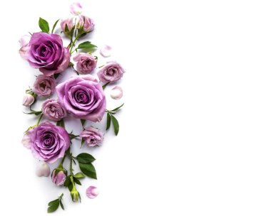 Beyaz arka plandaki güllerin iskeleti. Düz yatıyordu.