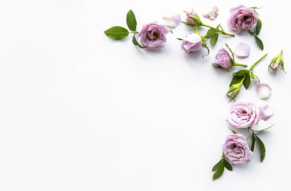 Πλαίσιο Από Τριαντάφυλλα Λευκό Φόντο Επίπεδη — Φωτογραφία Αρχείου