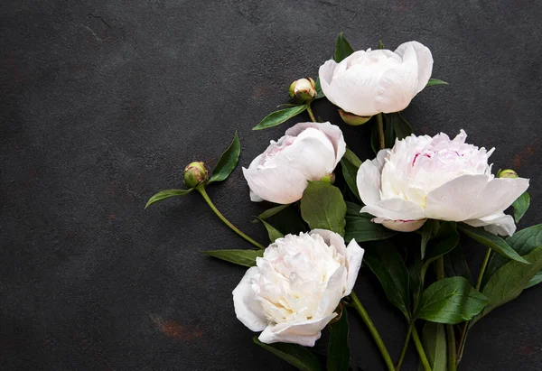 Fresh pink peony flowers border with copy space on black background, flat lay.