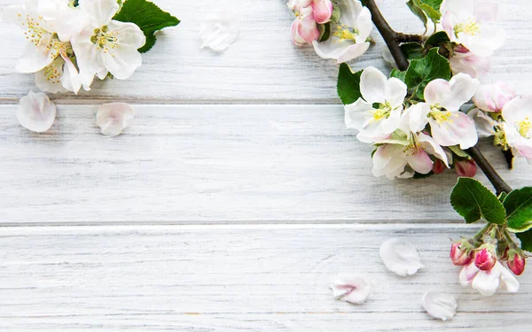 Spring Border Background Beautiful White Flowering Branches White Wooden Background — Stock Photo, Image