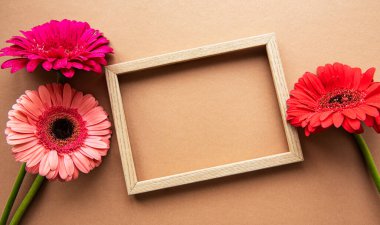 Tahta çerçeve, açık kahverengi arka planda güzel Gerbera çiçekleriyle çevrili. Üst manzara, fotokopi alanı, düz alan. Sahte tebrik kartı, tatil ya da düğün davetiyeleri. Parlak yaz çiçeği konsepti.