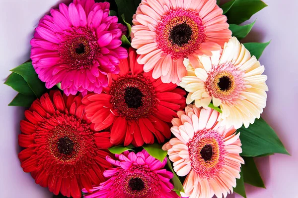 Gerbera Bouquet Fiori Sfondo Floreale Teste Fiori Rossi Gialli Rosa — Foto Stock