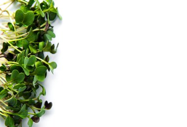 Beyaz arka planda mikro yeşiller. Sağlıklı ve taze organik gıda, restoran hizmeti konsepti. Üst görünüm, alanı kopyala