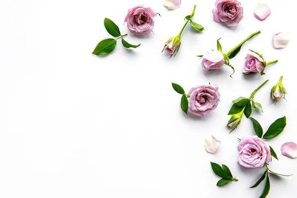 Πλαίσιο Από Τριαντάφυλλα Λευκό Φόντο Επίπεδη — Φωτογραφία Αρχείου