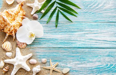 Kumdaki deniz kabukları. Yazın deniz tatili arka planında metin için yer var. Üst görünüm