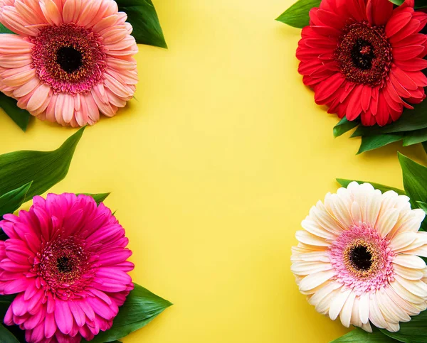 Gerbera Flores Fundo Amarelo Vista Superior — Fotografia de Stock