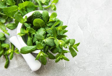 Gri beton arka planda taze yeşil nane.