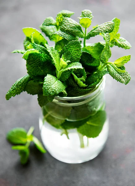 Fresh Mint Leaves Small Glass Jar — Stock Photo, Image