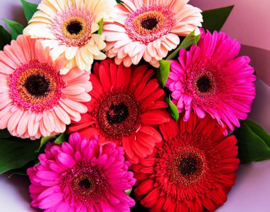 Gerbera çiçek buketi. Çiçek arkaplan. Kırmızı, sarı, pembe çiçek başları