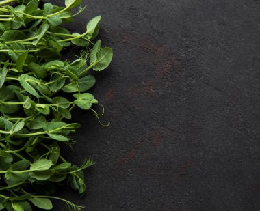 Siyah beton arka planda ev yapımı bezelye filizleri